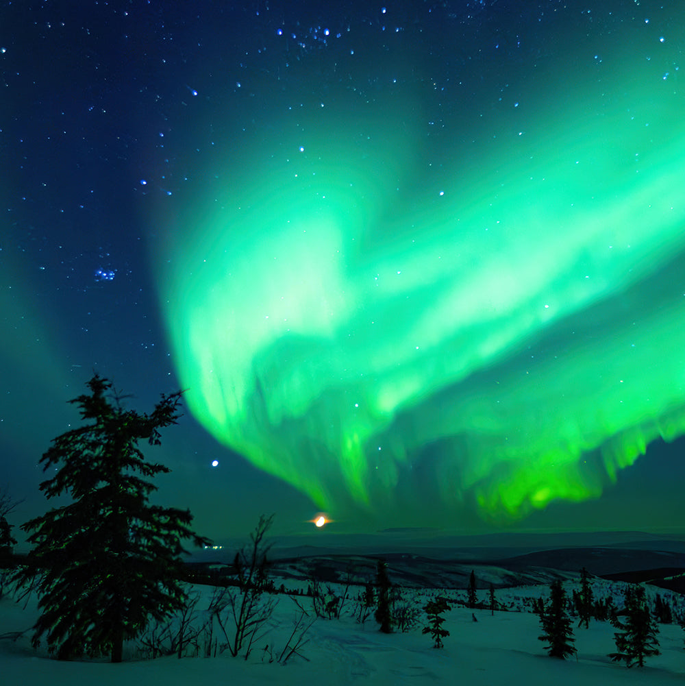 Aurora & Northern Lights
