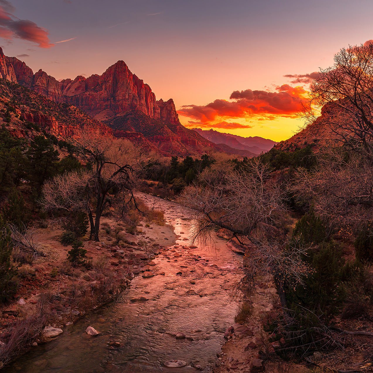 Zion National Park - Jeff Pfaller Photography