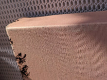 Load image into Gallery viewer, "Yosemite Firefall" 24" x 16" Canvas - DMG - Jeff Pfaller Photography