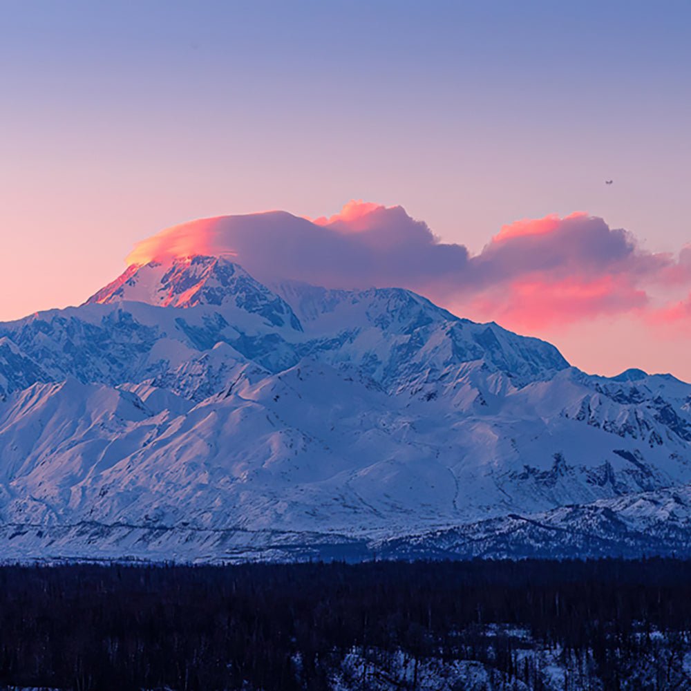 Denali National Park - Jeff Pfaller Photography