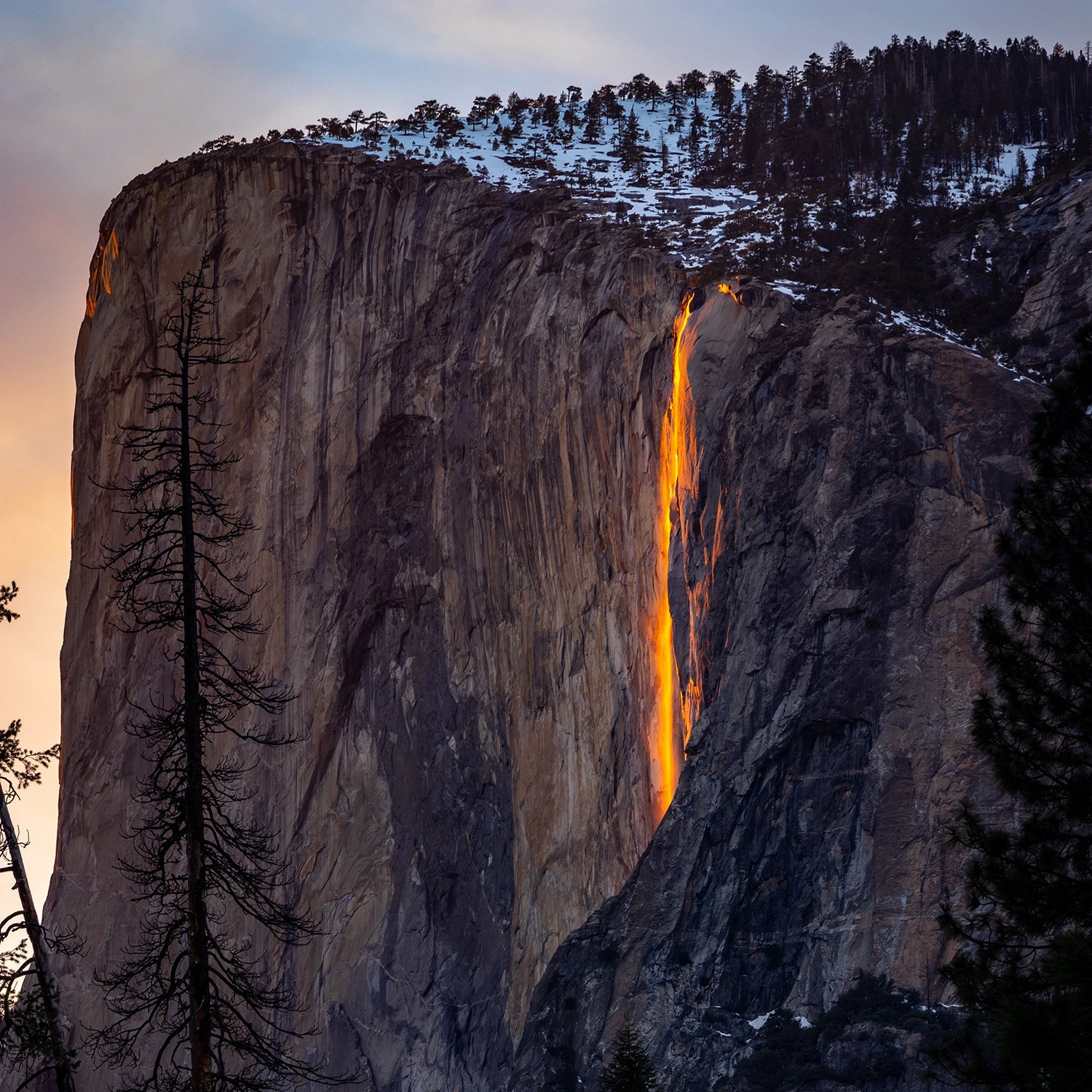 Yosemite National Park - Jeff Pfaller Photography
