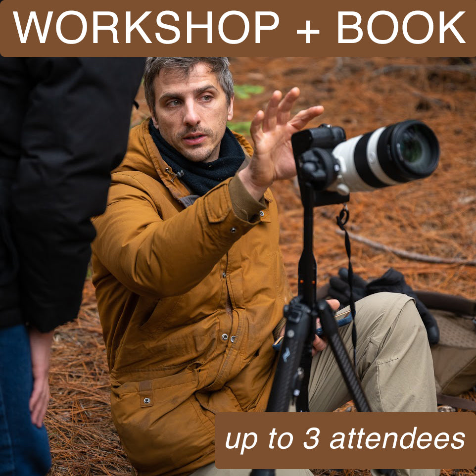 Photo Workshops Plus Books