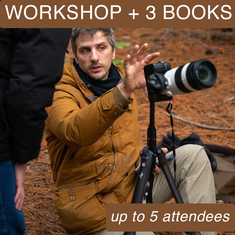 Photo Workshops Plus Books