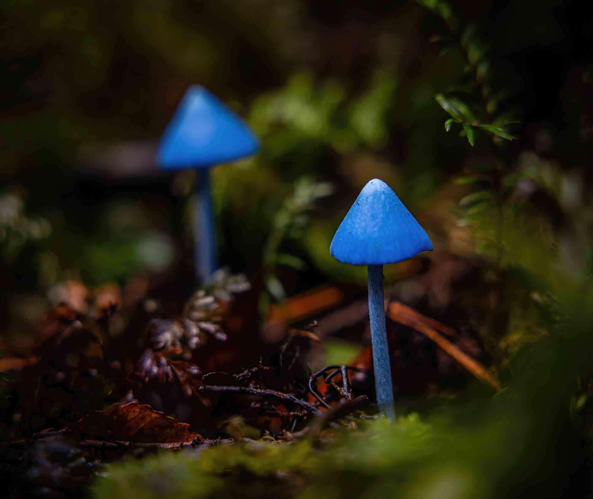 H09A0978-Edit-Edit.jpg__PID:29d94ea4-008e-4c5e-8e03-9b2b50bfaa8f