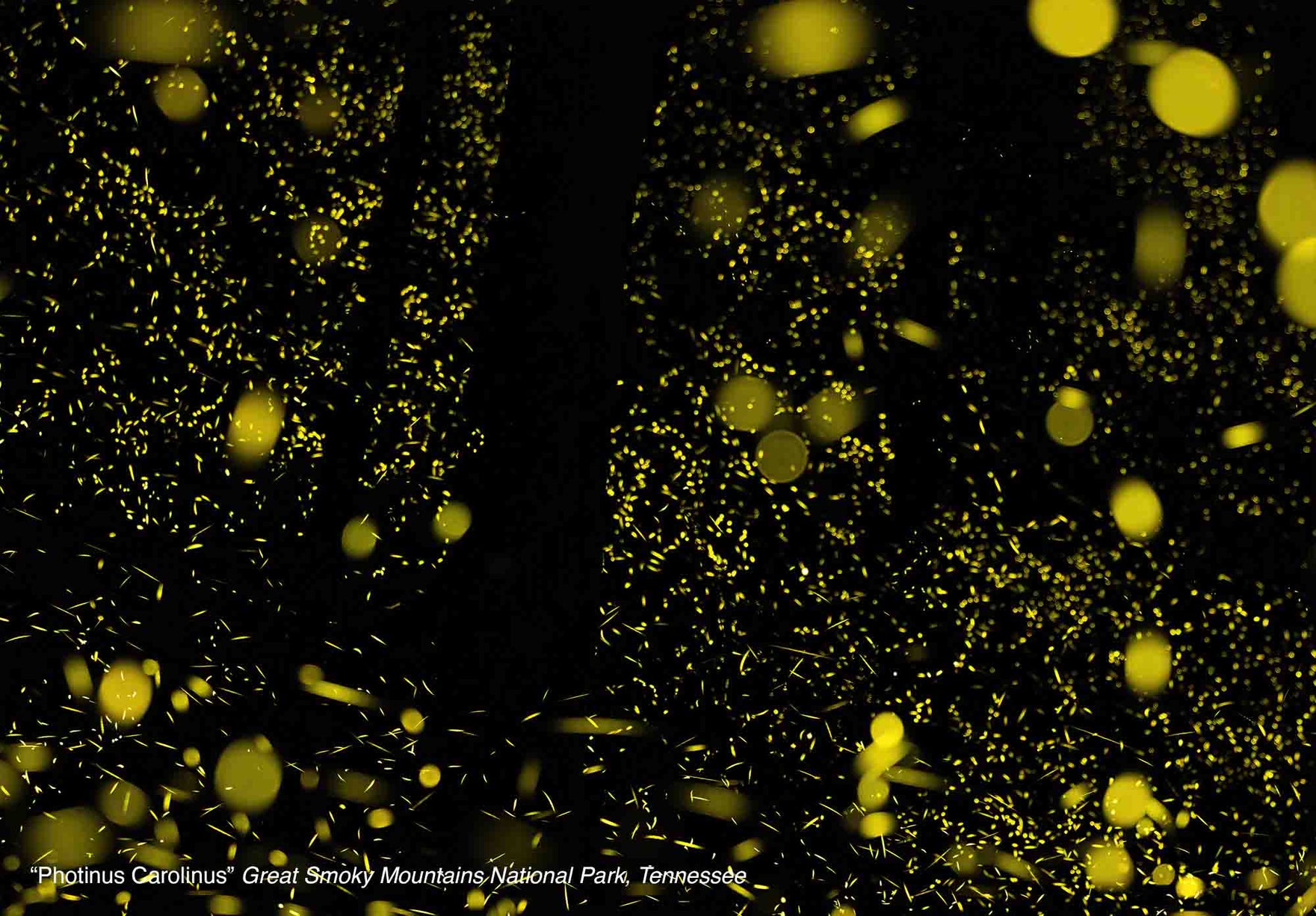 2026 Dark Sky Public Lands Calendar