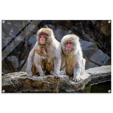 Load image into Gallery viewer, Macaque Family Alt Print
