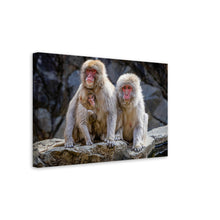 Load image into Gallery viewer, Macaque Family Alt Print
