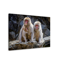 Load image into Gallery viewer, Macaque Family Alt Print
