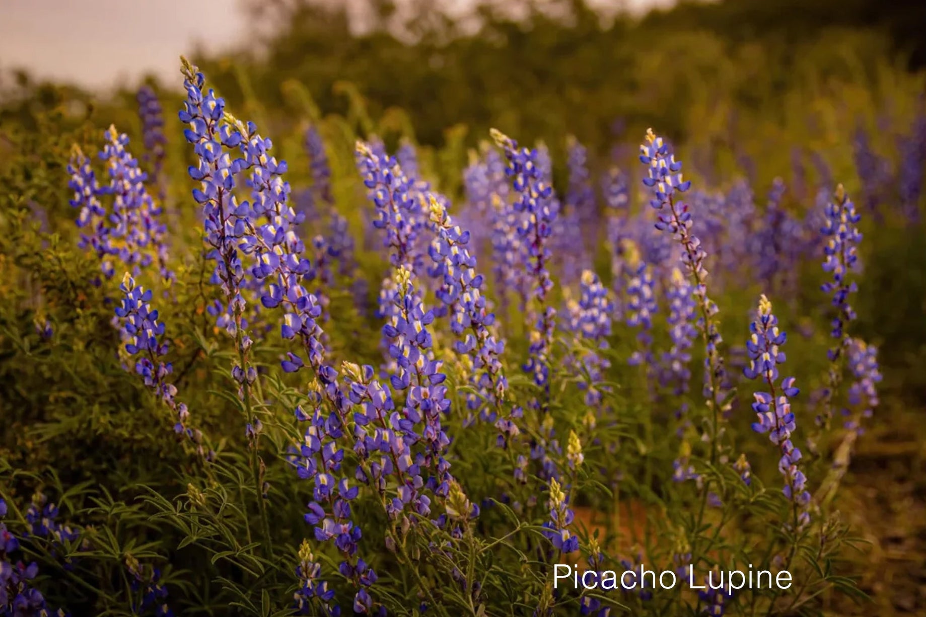 Secret Sale Open Editions - Jeff Pfaller Photography
