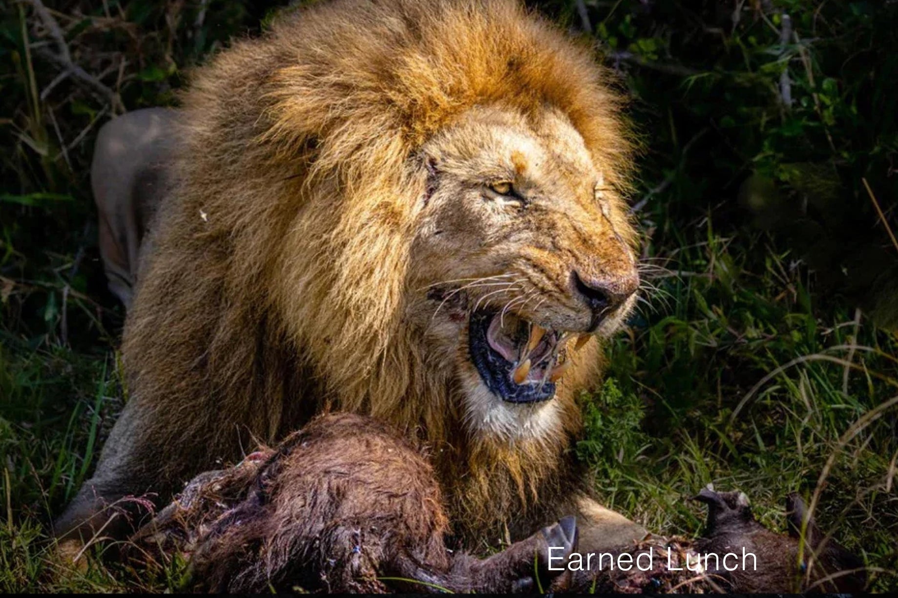 Secret Sale Open Editions - Jeff Pfaller Photography