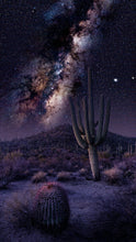 Load image into Gallery viewer, &quot;Saguaro NP&quot; 11/40 24&quot; x 48&quot; Metal - DMG
