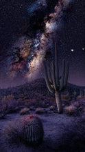 Load image into Gallery viewer, &quot;Saguaro NP&quot; 17/40 24&quot; x 18&quot; Framed - Jeff Pfaller Photography
