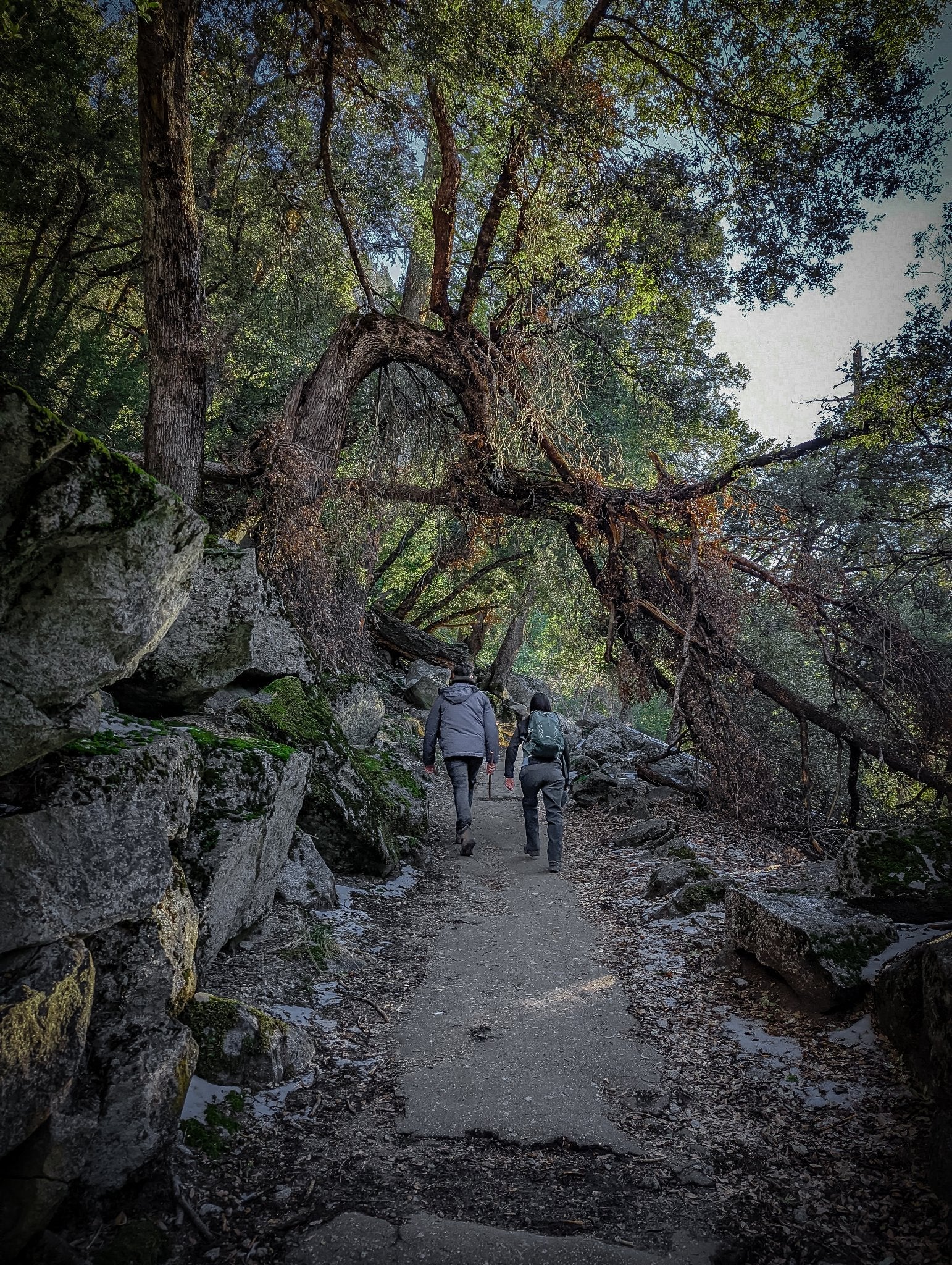 Yosemite Firefall 2026 Guided Trip WAITLIST - Jeff Pfaller Photography