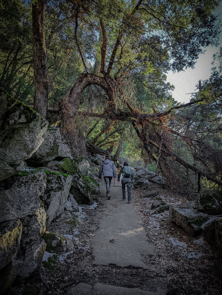 Yosemite Firefall 2026 Guided Trip WAITLIST - Jeff Pfaller Photography